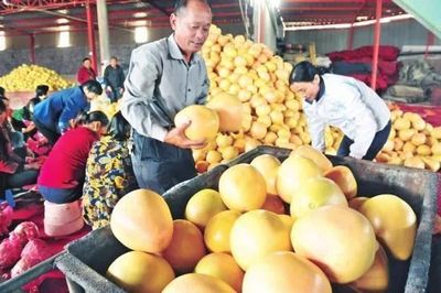 厲害了！湖北19個特產受國家保護，以你家鄉命名食用農產品批發